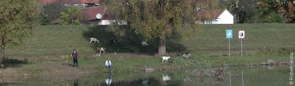 cropped-cropped-Bodrog-river-Hungary-2005-Robert-Slomp-1c-1024x300-1024x300